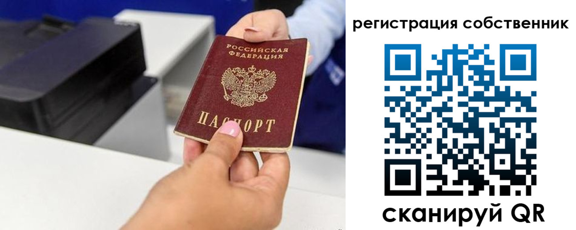 прописка для школы в Ульяновской области
